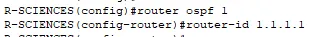 Router-ID de R-SCIENCES