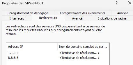 Redirecteurs DNS