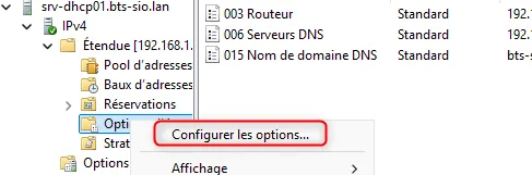 Options d’étendue DHCP