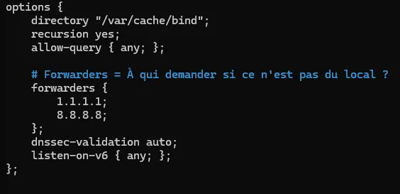 Fichier named.conf.options