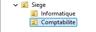 Arborescence Siege, Informatique et Comptabilite