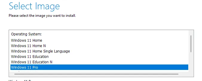 Choix de l’édition Windows 11 Professionnel