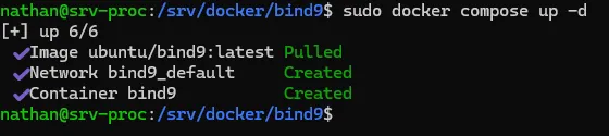 Démarrage du conteneur bind9