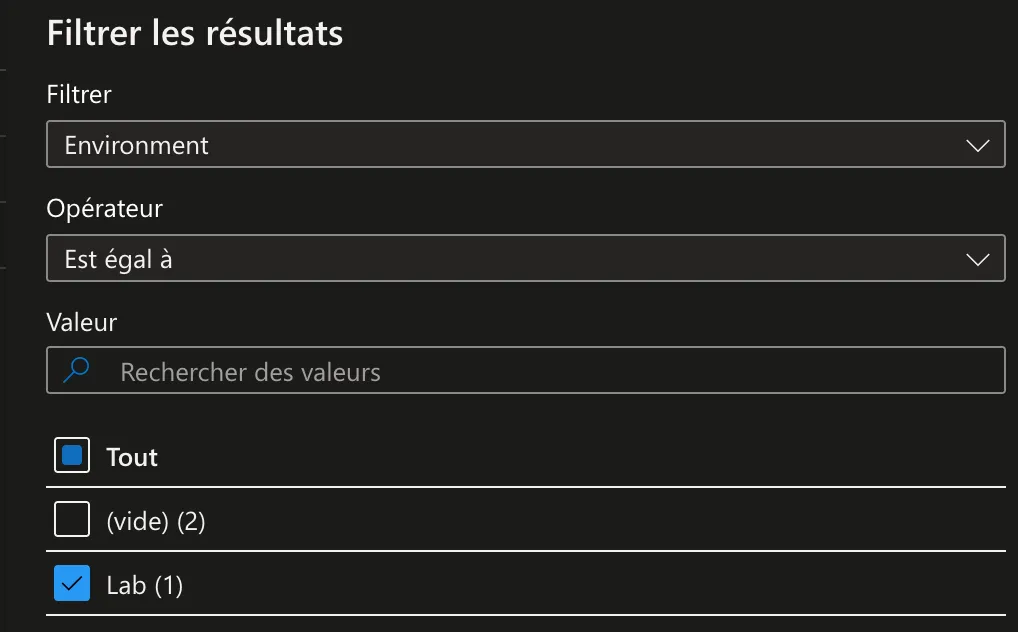 Filtre des ressources sur le tag Environment = Lab