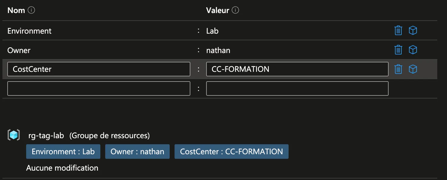 Étiquettes appliquées sur le Resource Group rg-tag-lab