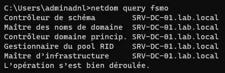 Résultat de netdom query fsmo.