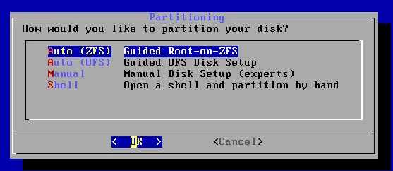 Choix du partitionnement Auto (ZFS)