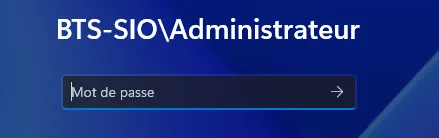 Connexion avec le compte du domaine