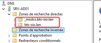 Zones DNS créées automatiquement
